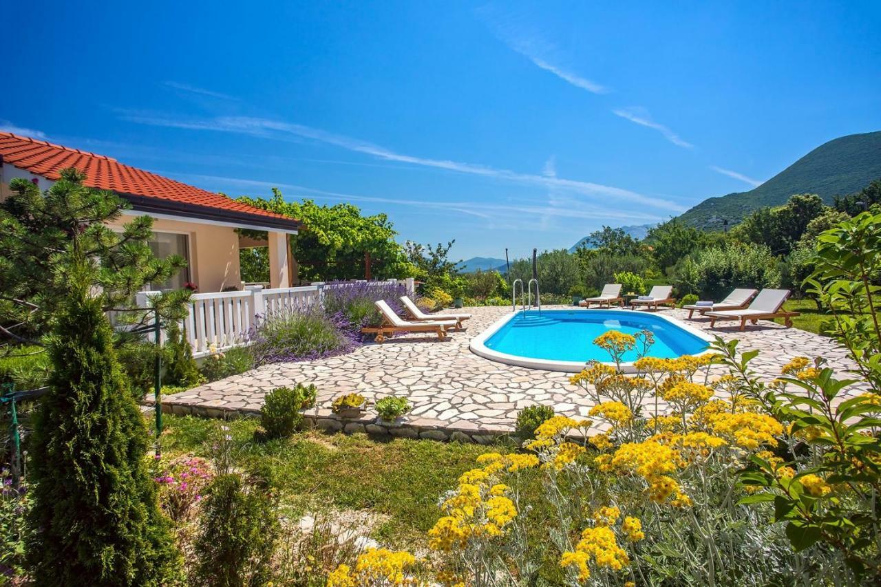 Villa Ana - 3 Bedroom Villa With Private Pool And Unspoiled Natural Environment Kučiće Exterior foto